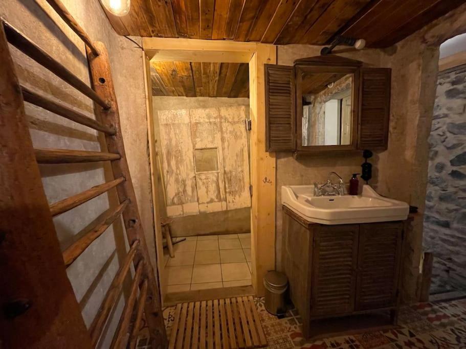 Maison Vigneron - Maison Et Studio Saint-Didier-sur-Beaujeu Buitenkant foto